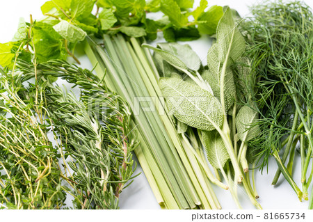 各種草藥 81665734