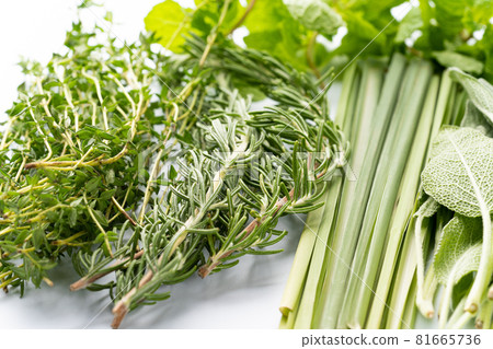 各種草藥 81665736