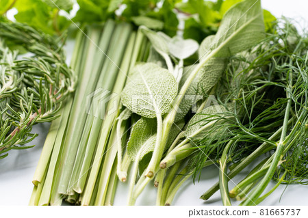 各種草藥 81665737