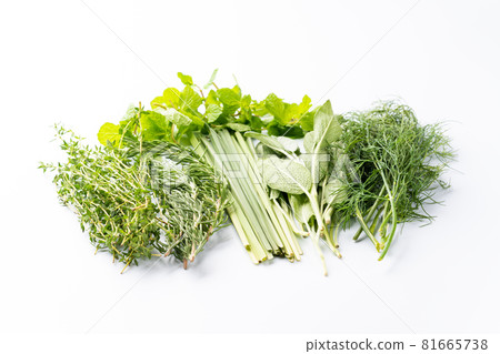 Various herbs Various herbs 81665738