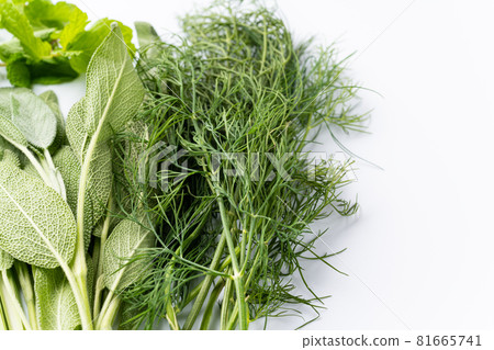 Various herbs Various herbs 81665741