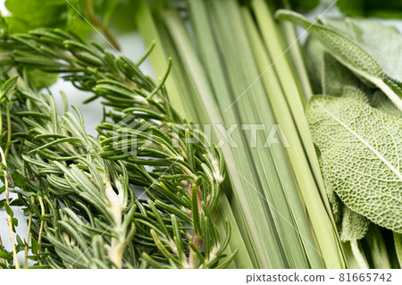 Various herbs 81665742