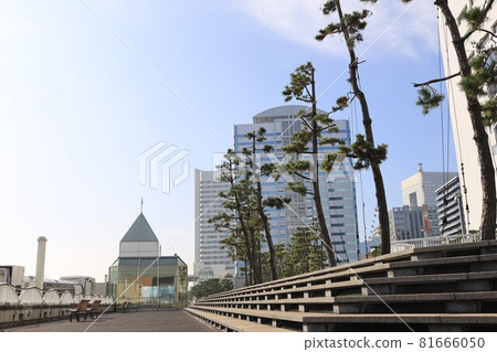 東京都港區竹芝碼頭風景 81666050