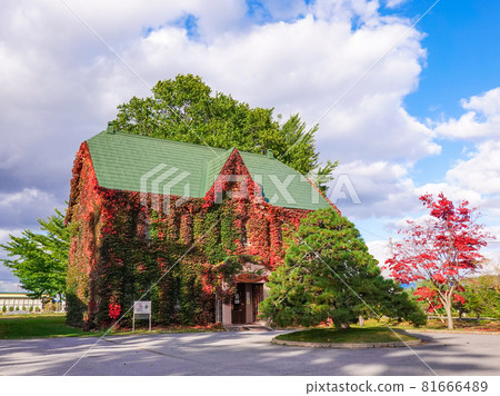 A Western-style building covered in red ivy: Ringo Historical Museum (Kuroishi, Aomori Prefecture) A Western-style building covered in red ivy: Ringo Historical Museum (Kuroishi, Aomori Prefecture) 81666489