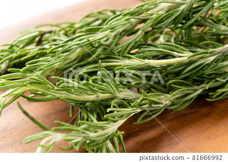 Rosemary Rosemary 81666992