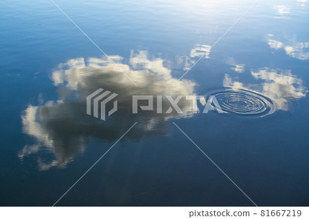 湖，大湖公園，人工湖，陽光，風景，風景，風景，風景 81667219