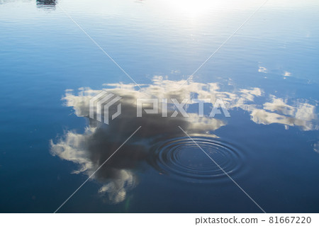 湖，大湖公園，人工湖，陽光，雲，風景，風景，風景 81667220