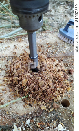 DIY technique for removing old tree stump using electric drill DIY technique for removing old tree stump using electric drill 81667229