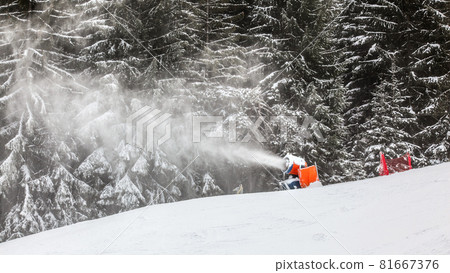 Snow gun spraying artificial ice crystals to ski piste, snowmaking in winter sports resort, trees in background 81667376