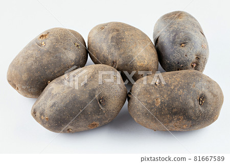 Fresh purple potatoes isolated on a white background. Fresh purple potatoes isolated on a white background. 81667589