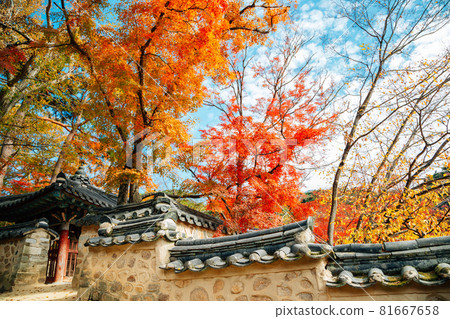 Bulguksa temple at autumn in Gyeongju, Korea Bulguksa temple at autumn in Gyeongju, Korea 81667658