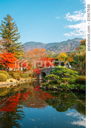 Bulguksa temple autumn nature scenery in Gyeongju, Korea 81667686