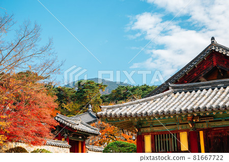 Bulguksa temple at autumn in Gyeongju, Korea Bulguksa temple at autumn in Gyeongju, Korea 81667722