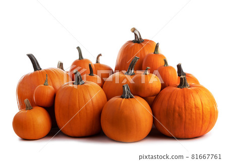 Many orange pumpkins on white Many orange pumpkins on white 81667761