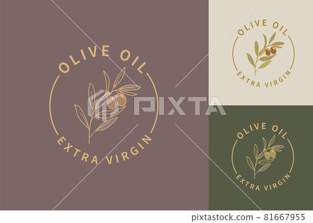 Olive oil extra virgin logos. Olive oil extra virgin logos. 81667955