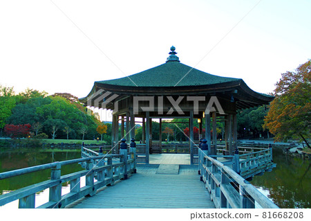 [Nara] Autumn in Nara Park: Ukimido Hall as dusk approaches 81668208