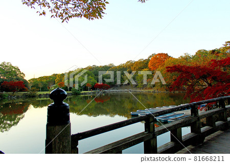 [奈良]秋天的奈良公園、鷺池即將黃昏 81668211
