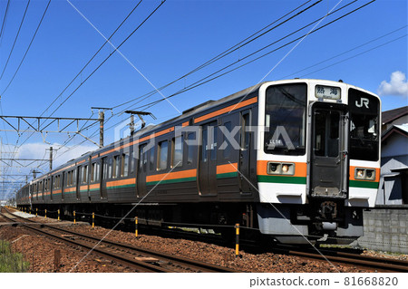 211 series, 313 series Tokaido Main Line① 211 series, 313 series Tokaido Main Line① 81668820