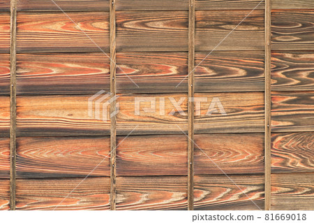 The outer wall of the tree The outer wall of the tree 81669018