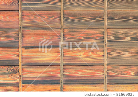 The outer wall of the tree The outer wall of the tree 81669023