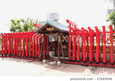 沖繩縣達磨寺的紅色鳥居 81669046