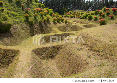 Spring digging at the Yamanaka Castle ruins Spring digging at the Yamanaka Castle ruins 81669106