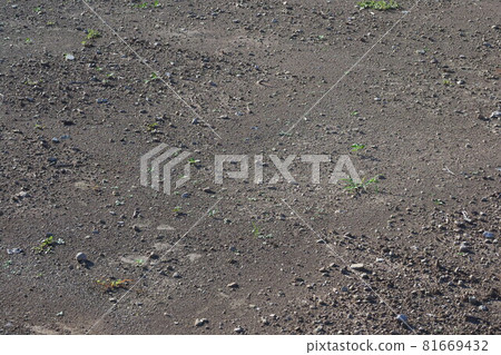 荒原草原野原雜草 81669432