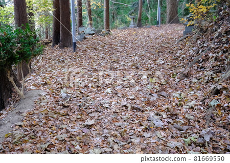 The approach of the shrine The approach of the shrine 81669550