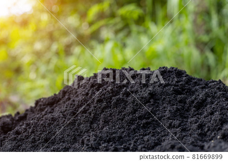 Soil and black husks to prepare for planting Soil and black husks to prepare for planting 81669899