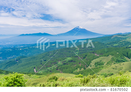 (靜岡縣)初夏的箱根十國渡口,富士山 (靜岡縣)初夏的箱根十國渡口,富士山 81670502