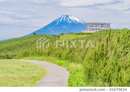 (靜岡縣)初夏的地獄山展望台,富士山 (靜岡縣)初夏的地獄山展望台,富士山 81670634