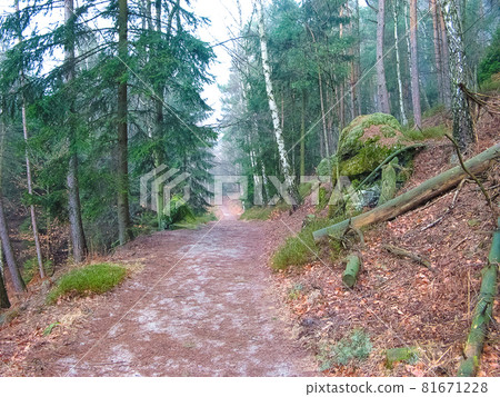 Saxony park in Germany with stones 81671228