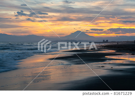 Sunset on Kugenumakaigan and Mt. Fuji 81671229