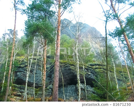 Saxony park in Germany with stones 81671230