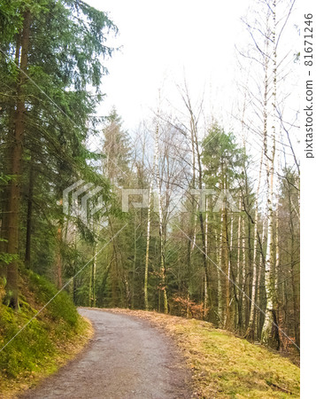 Saxony park in Germany with stones 81671246