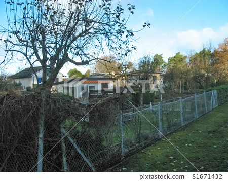 On a road to Tegel Lake, Germany 81671432