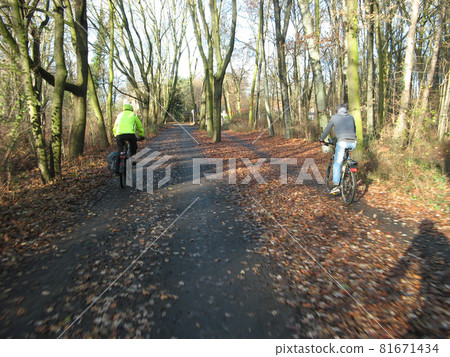 On a road to Tegel Lake, Germany 81671434