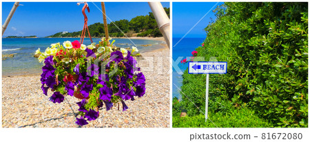Sunny beach with beautiful flowers Sunny beach with beautiful flowers 81672080
