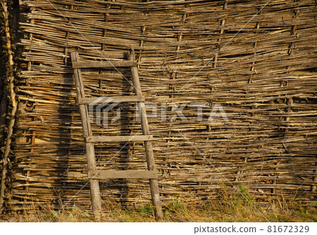 Wicker rustic wooden fence made of aspen and willow sticks. Wooden ladder is leaning against the wall. Organic woven willow wicker fence panel suitable for crafts, picnic or gardening background. 81672329