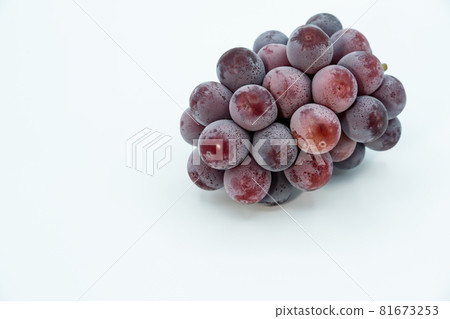 Pione image Pione image 81673253