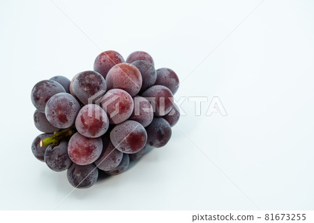 Pione image 81673255