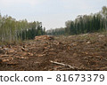 A clearing in a cut-down forest. The destroyed Khimki forest in Russia, the laying of the highway 81673379