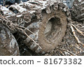 dirty tractor tracks, work in the forest, wet soil 81673382