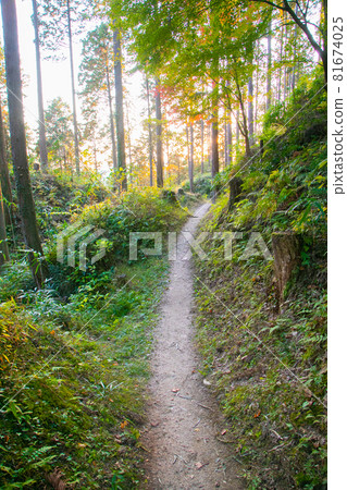 與岐阜縣惠那市史蹟明智光秀有淵源的明智城跡(白高城)的山路 與岐阜縣惠那市史蹟明智光秀有淵源的明智城跡(白高城)的山路 81674025