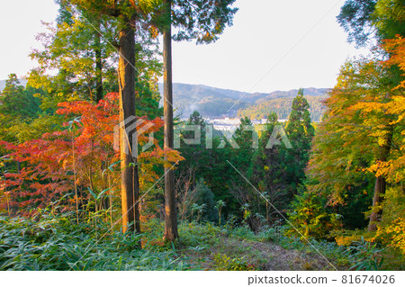 秋天的明智城遺址,與岐阜縣惠那市古蹟明智光秀相連的白高城 秋天的明智城遺址,與岐阜縣惠那市古蹟明智光秀相連的白高城 81674026