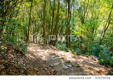 岐阜縣可兒市，據說是明智光秀的出生地的九栗城遺址 81674056