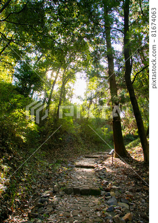 岐阜縣可兒市的明智城，與明智光秀有聯繫的地方 81674063