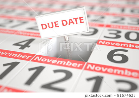 DUE DATE message on November 5 in a calendar, 3d rendering 81674625
