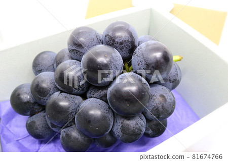 盒裝巨峰（葡萄） 81674766