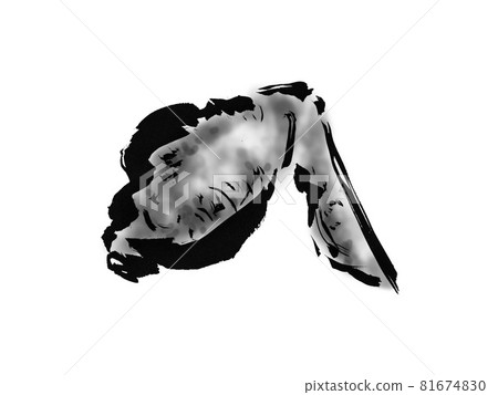Hand drawn illustration of chicken wings Hand drawn illustration of chicken wings 81674830